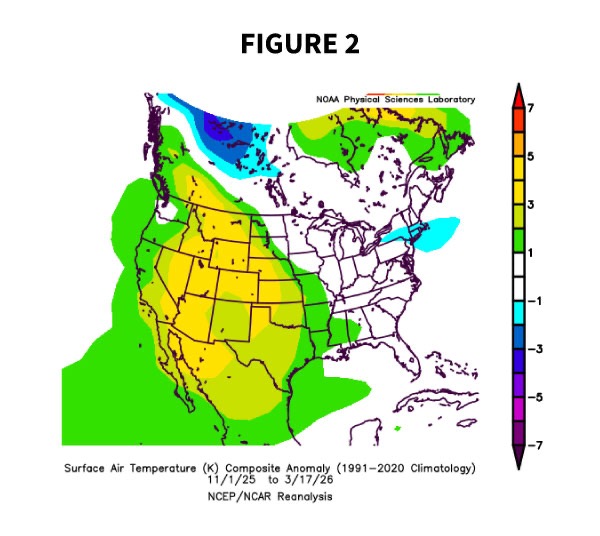 Figure 2 — Observed winter 2025-26 surface air temperature anomalies from NCEP/NCAR Reanalysis