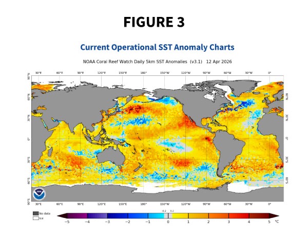 Figure 3 — NOAA Coral Reef Watch SST anomaly chart showing south Pacific warming as of April 2026